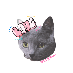 Diana Misuzu_20260411073029