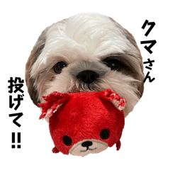 hanakong_20260411072330