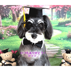 akito_20260406214806