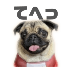 satomi_20260411070314