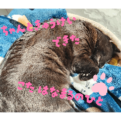 za-ne_20260411101220