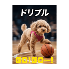 Ruru5656_20260411101337