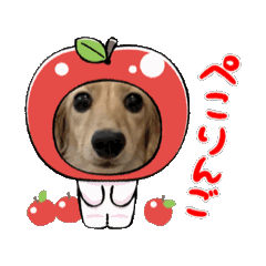 ratetuna_20260411121924