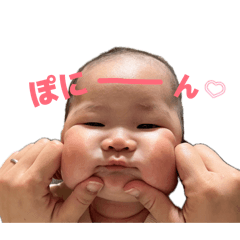 sakura_20260411075034