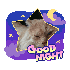 tarao_20260411134237