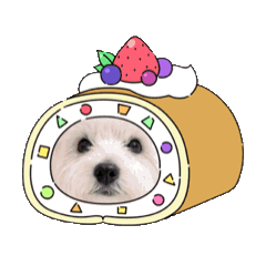 ratetuna_20260411120546