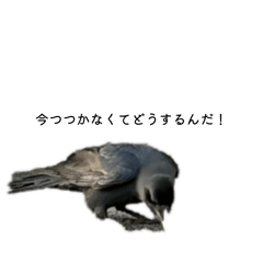 Line stanp store_20260406215304