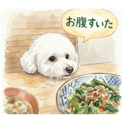 bearmaru_20260410205736