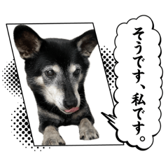 nanako_20260410210233