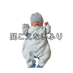 woody_20260406223620