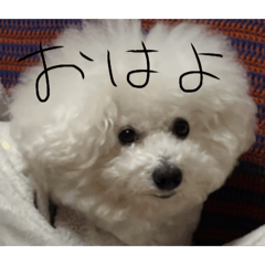 Donburi_20260411024916