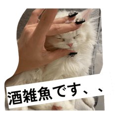 nyamunyamu_20260411032317