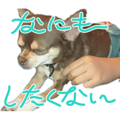ymmt_20260410210922