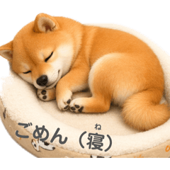 yuina_20260411050242