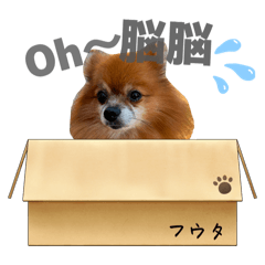 strong OL_20260411054729