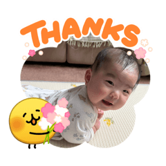 ideon_20260411061226