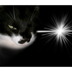 Richi_20260411035612