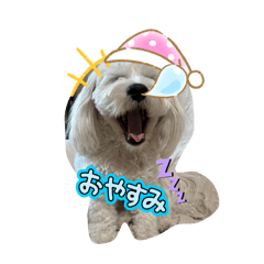 Mikku_20260411103510