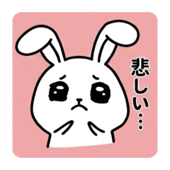 momo_20260410223540