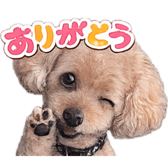 myama_20260410224304