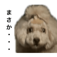 GUSIKENKENKEN_20260410224250