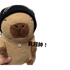 巴拉的可愛日常