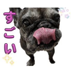 Airingo_20260411120712