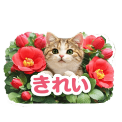 merumyu_20260411121608