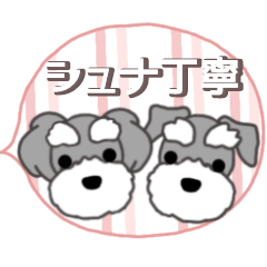 schnauzer polite language large font