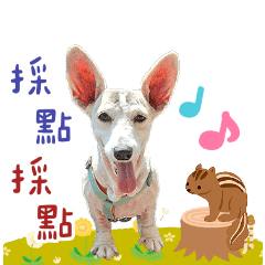 寶貝大集合 ❤️