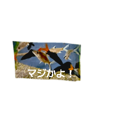 yaachi_20260411130931