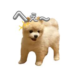 トーマの可愛いスタンプ2