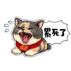 紀念可愛的抹布❤️