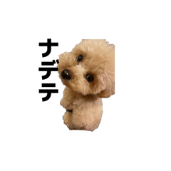 watachidayo_20260411134821