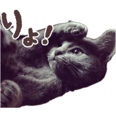 urara_20260411135310