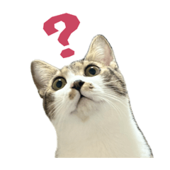 TABICHAN_20260411001208