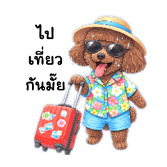 Everyday Feeling-Toffee happy poodle dog