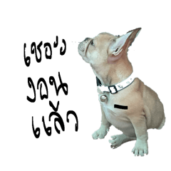 Sinam_20260411003822