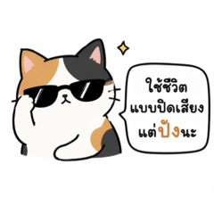 view Shopp_20260411011039