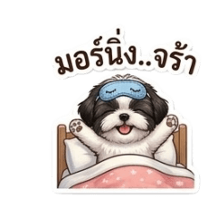 TTimmy_20260411004649