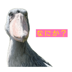 Minato_20260411142557