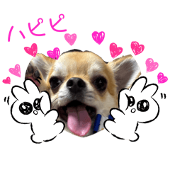 Coco mama_20260411142224