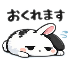 rabi_20260411143738