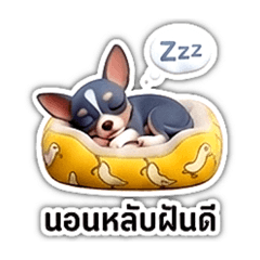 Phuthai noi_20260411102449