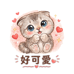 可愛的折耳貓01