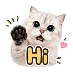 我是一隻快樂的喵喵