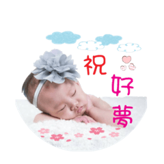 芹寶寶