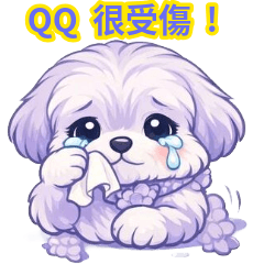 可愛的漂亮寶貝馬爾濟斯