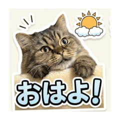 jsgmoro_20260411114102