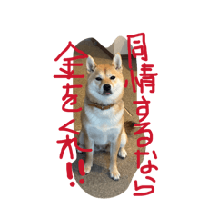 Yuka_20260407012422